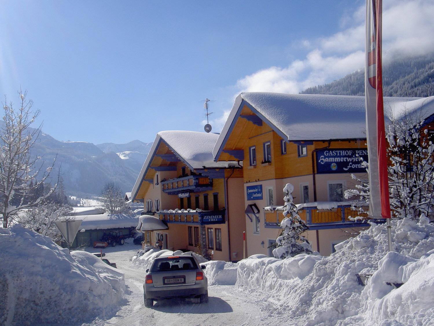 Hotel Hammerwirt - Forellenhof Унтертауерн Екстериор снимка