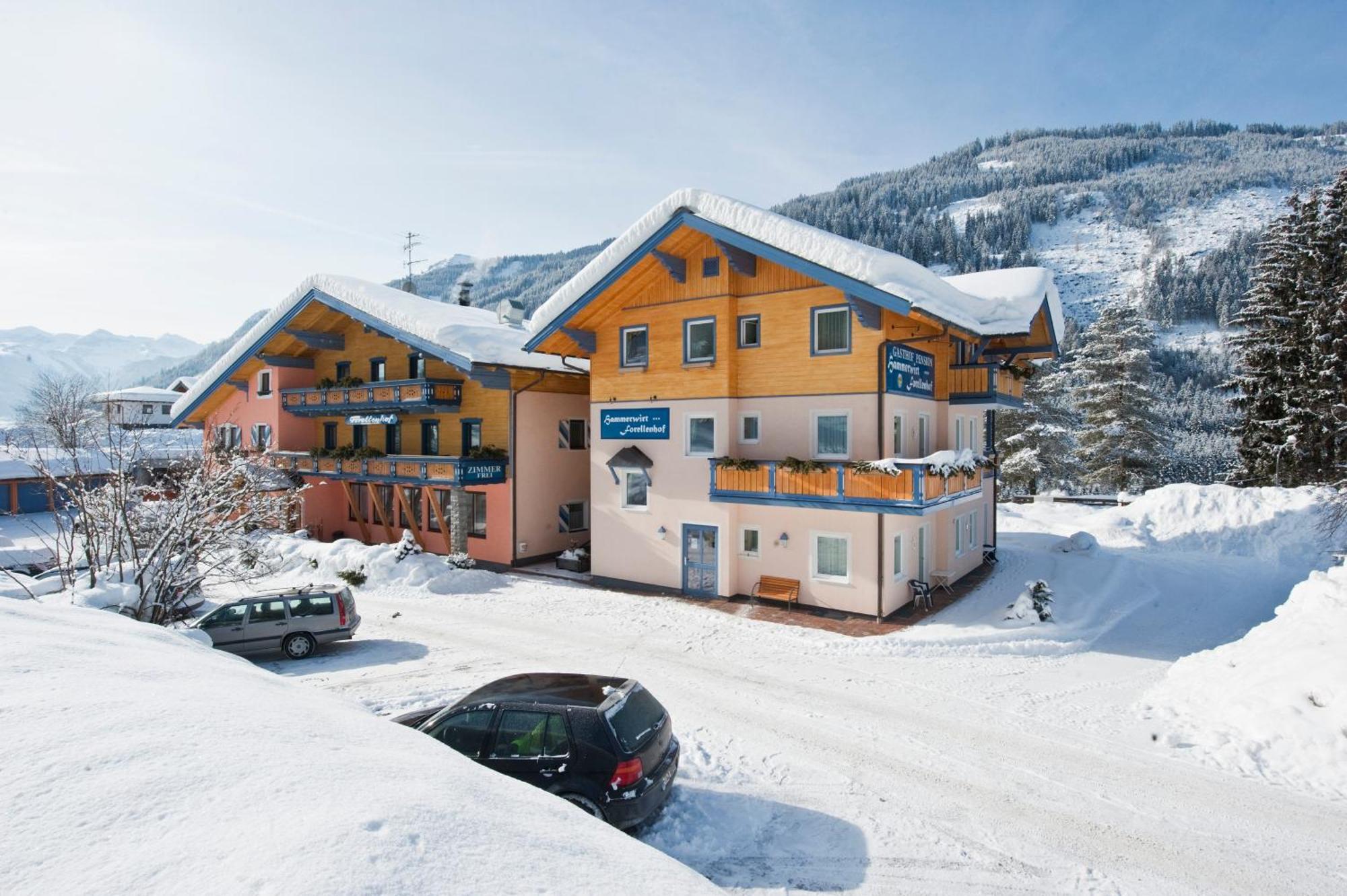 Hotel Hammerwirt - Forellenhof Унтертауерн Екстериор снимка